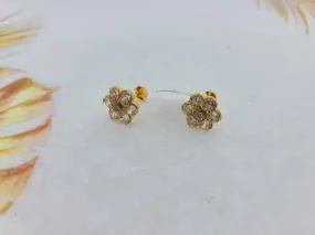 22K Solid Gold Zircon Studs E22159