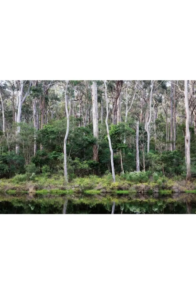 An Australian Garden By Philip Cox